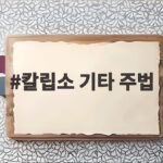 칼립소 기타 주법 입문과 실전 연습 칼립소 기타 주법