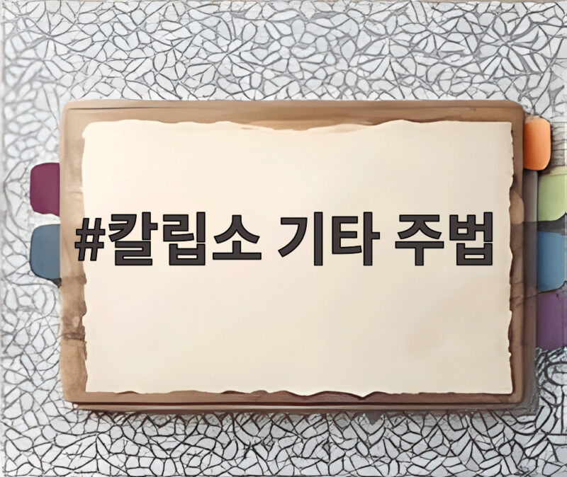 칼립소 기타 주법 입문과 실전 연습 1 칼립소 기타 주법