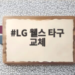 LG 웰스 타구 교체 큰 부상 아니라서 다행이었다 LG 웰스 타구 교체