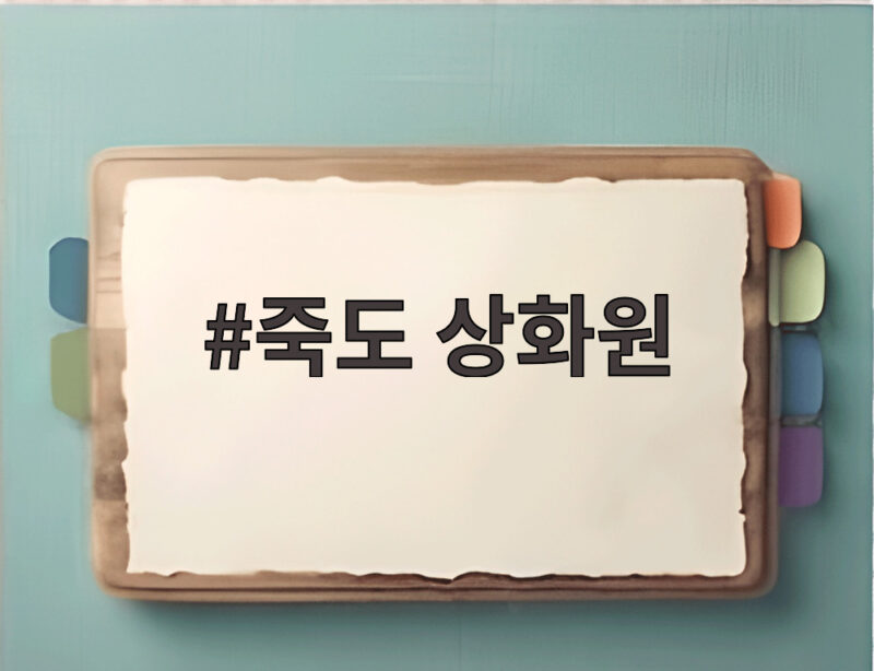 죽도 상화원 여름 힐링 산책 명소 1 죽도 상화원