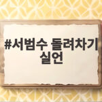 서범수 돌려차기 실언 사과 논란 정리 서범수 돌려차기 실언