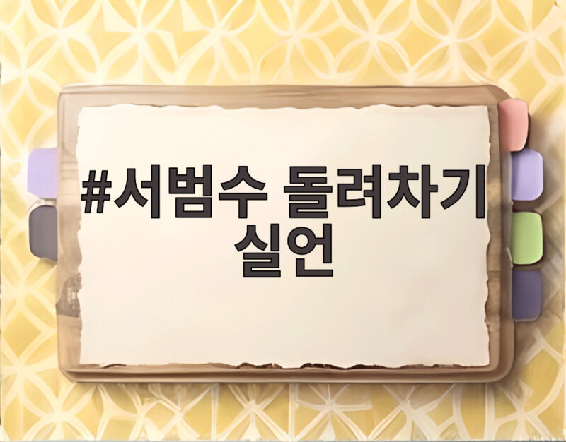 서범수 돌려차기 실언