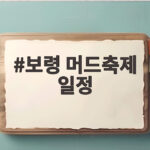 보령 머드축제 일정