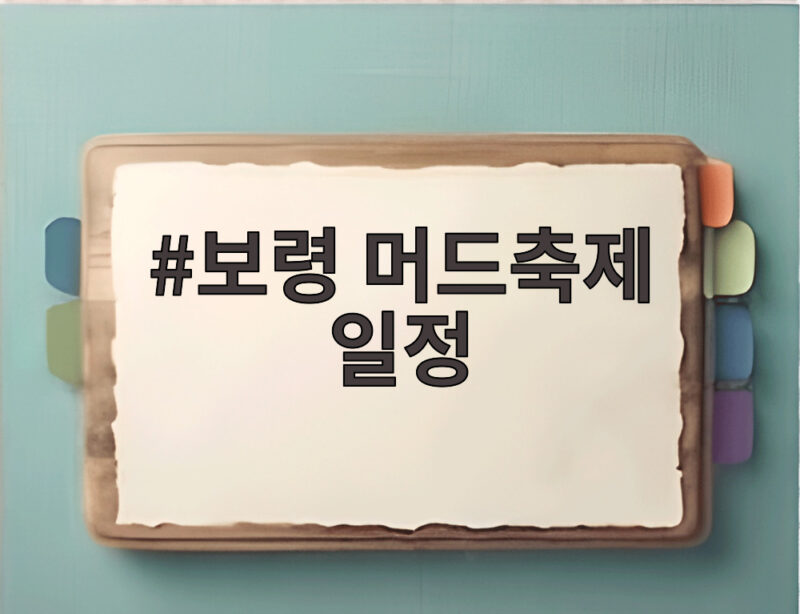 보령 머드축제 일정과 즐길거리 총정리 1 보령 머드축제 일정
