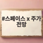 스페이스 x 주가 전망