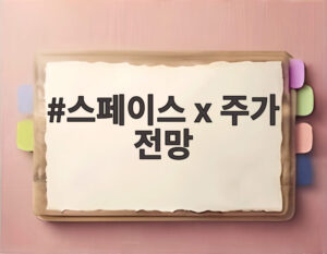 스페이스 x 주가 전망