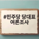 민주당 당대표 여론조사 누가 앞서나 민주당 당대표 여론조사