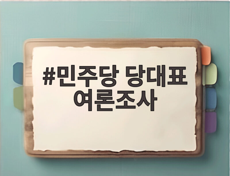 민주당 당대표 여론조사 누가 앞서나 1 민주당 당대표 여론조사