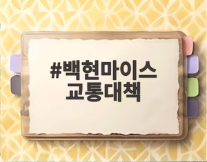 백현마이스 교통대책