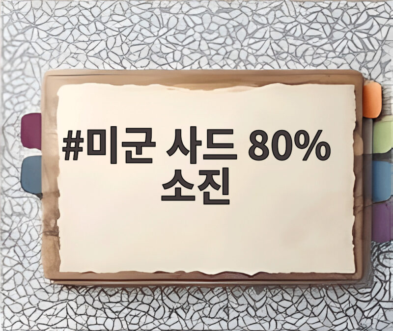 미군 사드 80% 소진