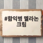 함익병 멜라논 크림 기미 관리법 함익병 멜라논 크림