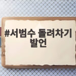 서범수 돌려차기 발언 논란과 사과 서범수 돌려차기 발언