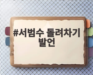 서범수 돌려차기 발언