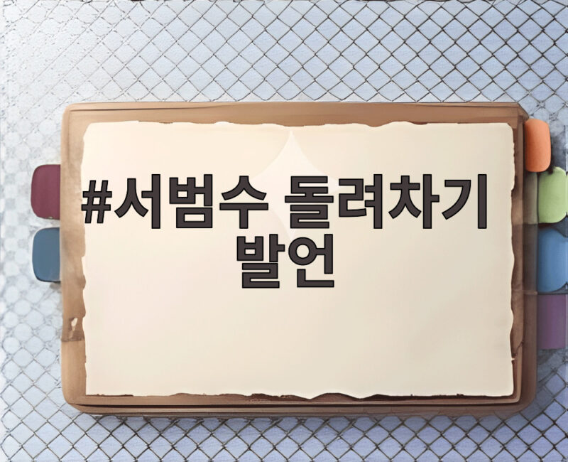 서범수 돌려차기 발언 논란과 사과 1 서범수 돌려차기 발언