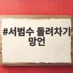 서범수 돌려차기 망언
