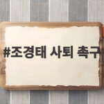 조경태 사퇴 촉구 윤리위원장 진퇴 압박 조경태 사퇴 촉구