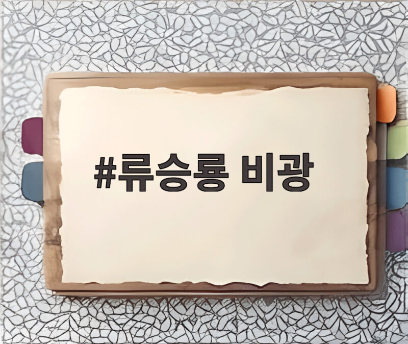류승룡 비광