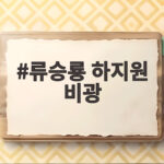 류승룡 하지원 비광 찐한 가족 연대기 류승룡 하지원 비광