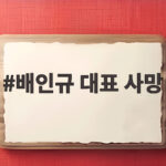 극우 유튜버 배인규 대표 사망 배인규 대표 사망