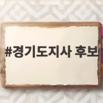 경기도지사 후보 뽑는 기준과 핵심 포인트 경기도지사 후보