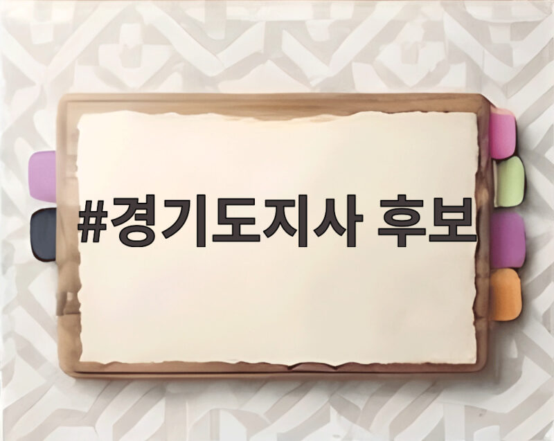 경기도지사 후보 뽑는 기준과 핵심 포인트 1 경기도지사 후보