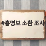 홍명보 소환 조사 축구협회 감독 선임 의혹 전말 홍명보 소환 조사