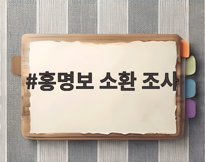 홍명보 소환 조사