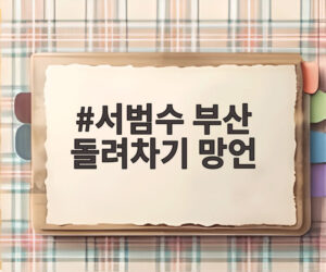 서범수 부산 돌려차기 망언