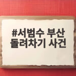 서범수 부산 돌려차기 사건
