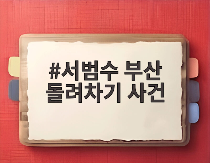 서범수 돌려차기 발언 논란 정리 1 서범수 부산 돌려차기 사건
