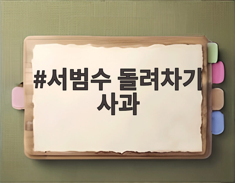 서범수 돌려차기 사과