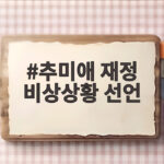 추미애 재정 비상상황 선언 경기도 대응 추미애 재정 비상상황 선언
