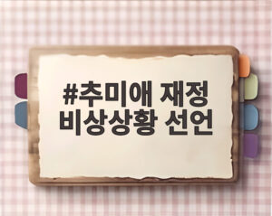 추미애 재정 비상상황 선언