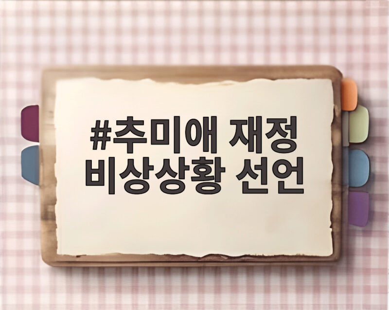 추미애 재정 비상상황 선언 경기도 대응 1 추미애 재정 비상상황 선언
