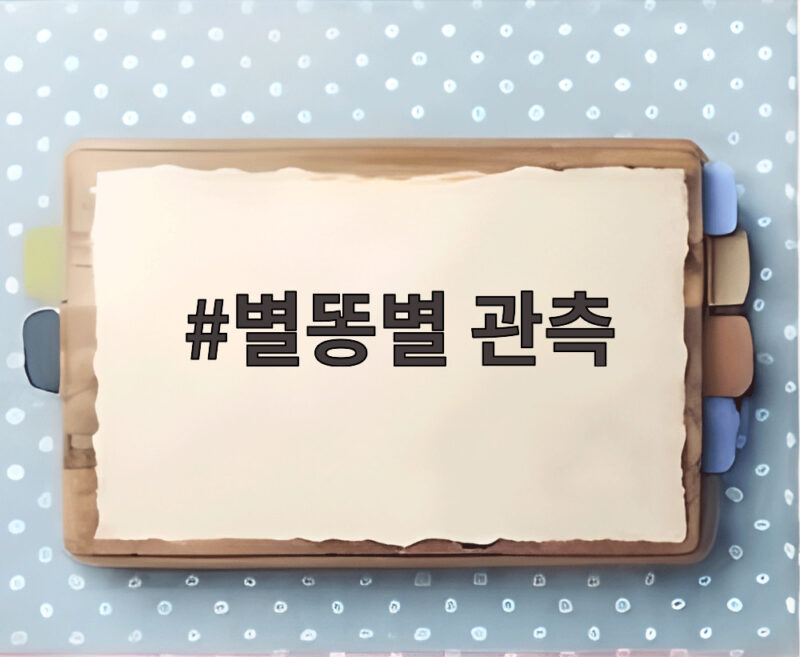 8월 12일 별똥별 관측 우주쇼 1 별똥별 관측