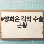 양희은 각막 수술 근황 지팡이 짚은 생일 모습 양희은 각막 수술 근황