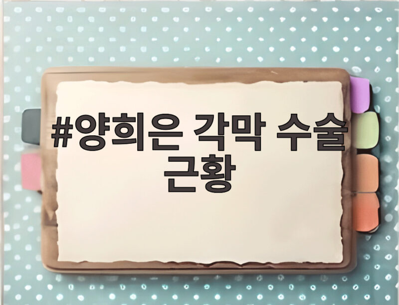 양희은 각막 수술 근황 지팡이 짚은 생일 모습 1 양희은 각막 수술 근황