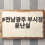 전남광주 부시장 윤난실 확정 소식 전남광주 부시장 윤난실
