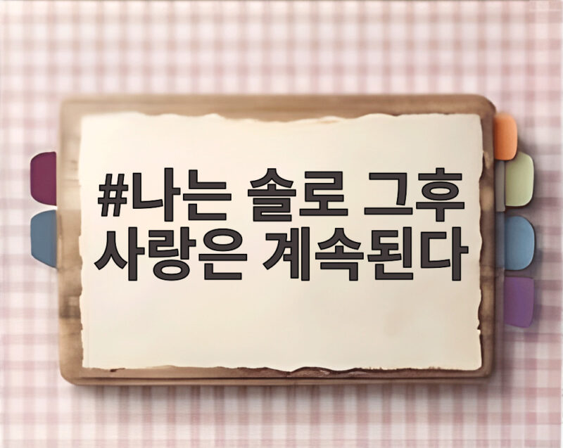 나는 솔로 그후 사랑은 계속된다