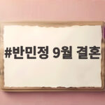 반민정 9월 결혼 비연예인 사업가와 반민정 9월 결혼