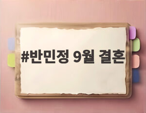 반민정 9월 결혼