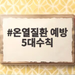 온열질환 예방 5대수칙 총정리 온열질환 예방 5대수칙