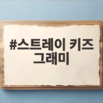 스트레이키즈 그래미 입장 공개 스트레이 키즈 그래미