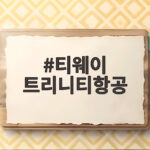 티웨이 트리니티항공 새출발 SSC 전략 티웨이 트리니티항공