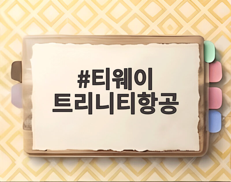 티웨이 트리니티항공 새출발 SSC 전략 1 티웨이 트리니티항공