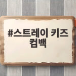 스트레이 키즈 컴백 새 앨범 발매 스트레이 키즈 컴백