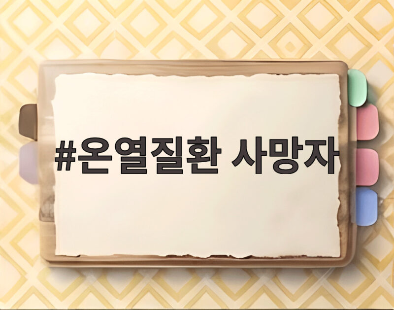 온열질환 사망자 80세 이상이 대부분 1 온열질환 사망자