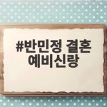 반민정 결혼 예비신랑은 사업가 반민정 결혼 예비신랑