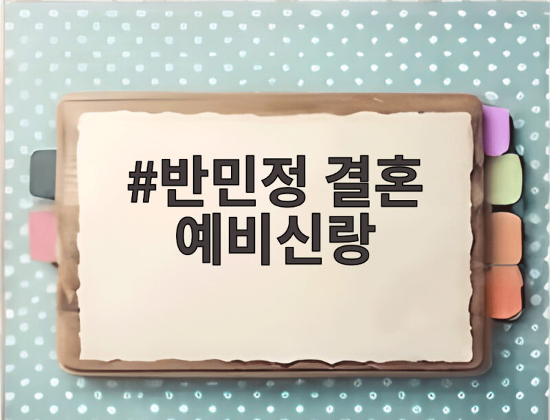 반민정 결혼 예비신랑은 사업가 1 반민정 결혼 예비신랑