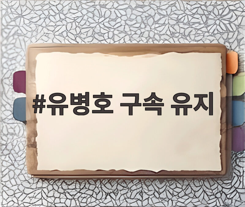 유병호 구속 유지 법원 기각 결정 1 유병호 구속 유지